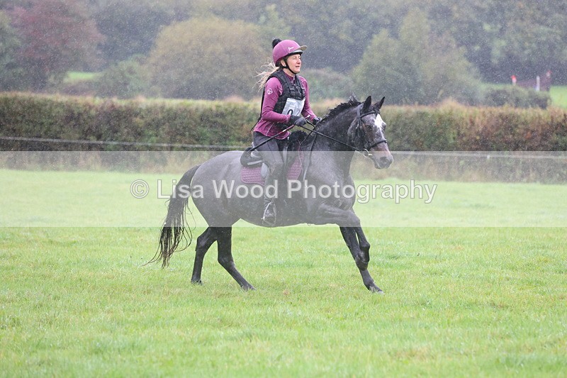 JPP_5113 - Class 1: 65cm : Showjumping