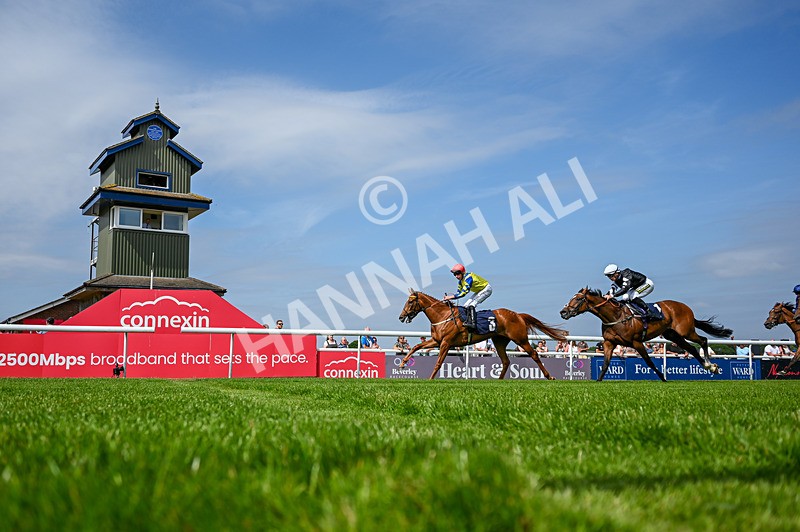 140726-Race 3-Pendella-4015 - Race 3 15.17pm Malcolm Greenslade Doncaster LVA Stalwart Memorial Handicap