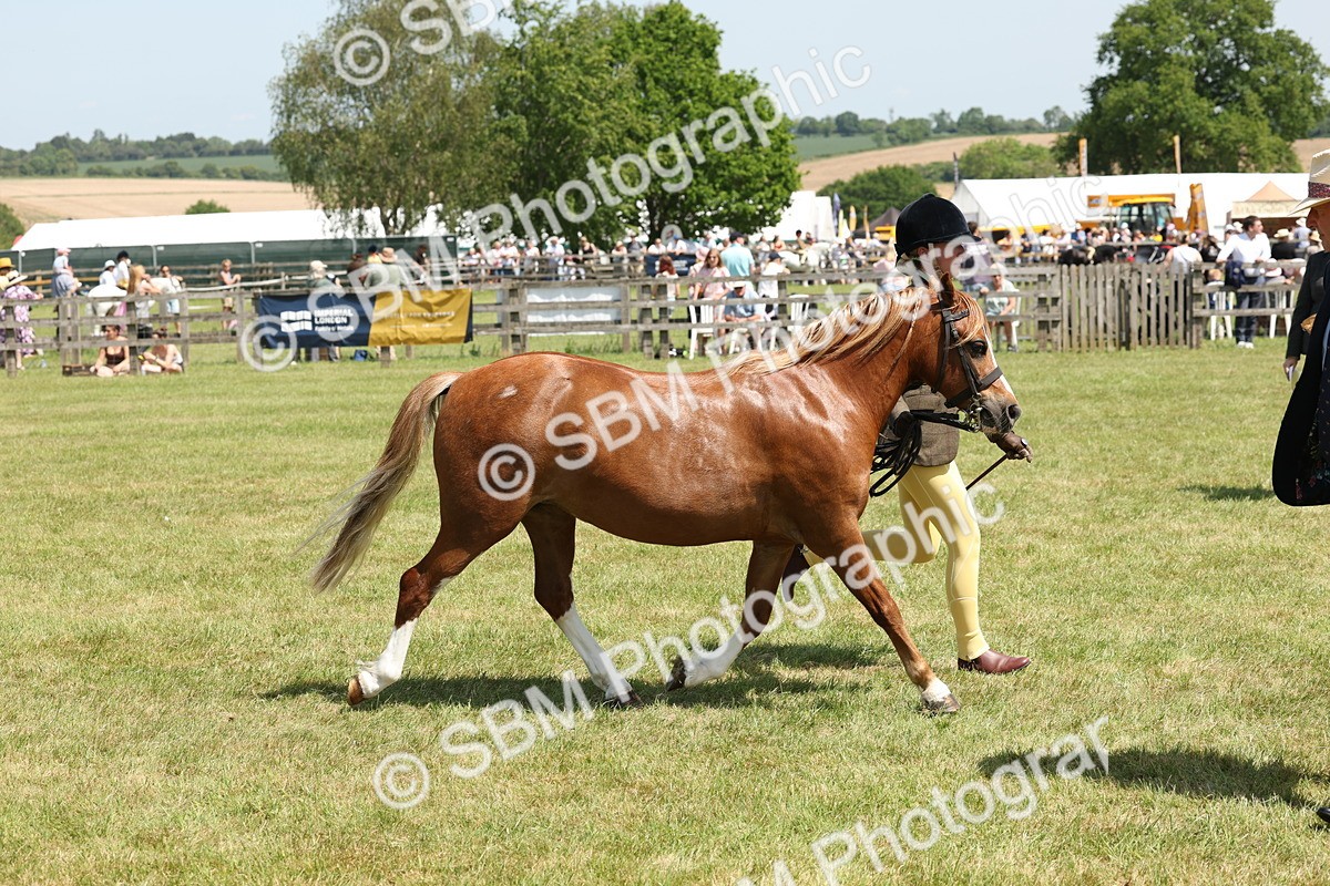 SBM_06774 - Class 26-30 - Mountain and Moorland Ridden