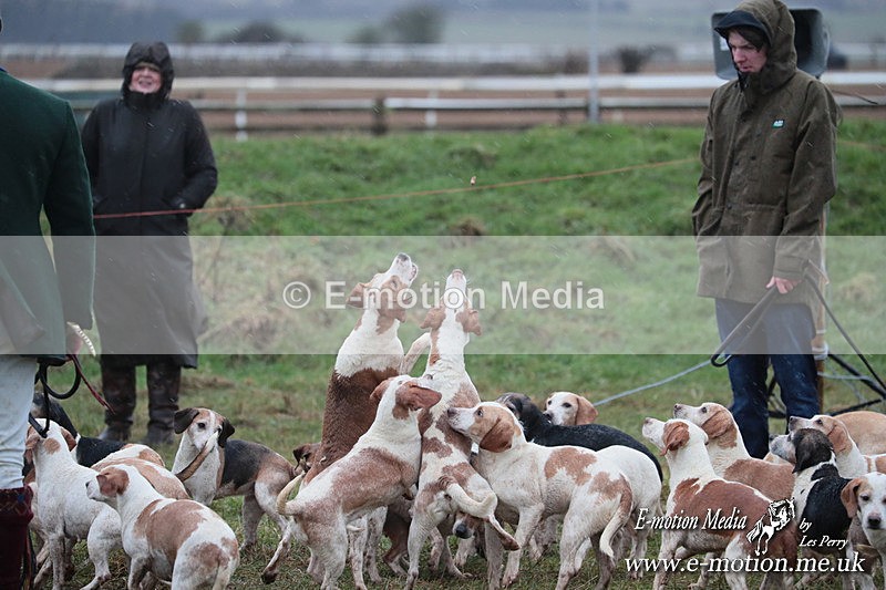 PtP 260125 116 - Cocklebarrow Point-to-Point racing with the Heythrop Hunt 26/01/25