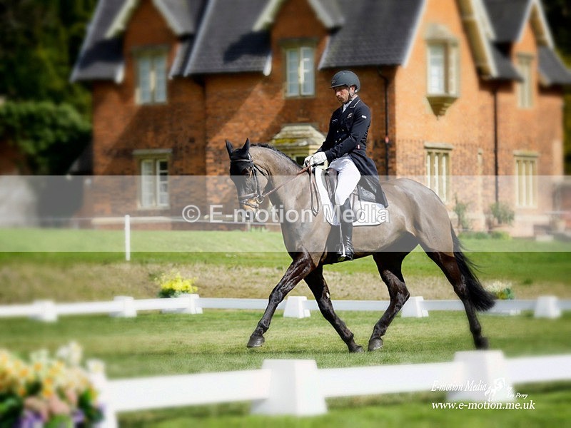 BE 010422  809a - Equestrian