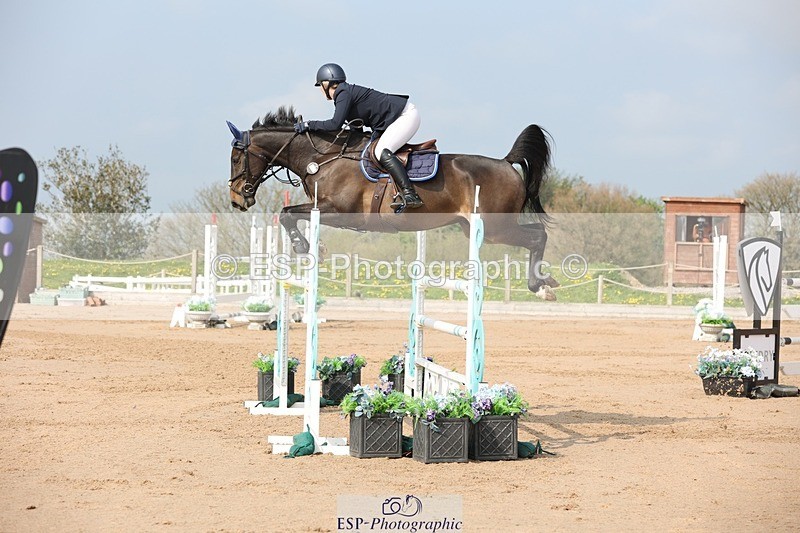 250424-102830-03034 - Cls 33 Young Horse 7yr old