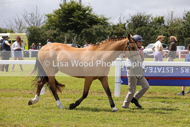 1X9A4895 - Class 35: Veteran In Hand