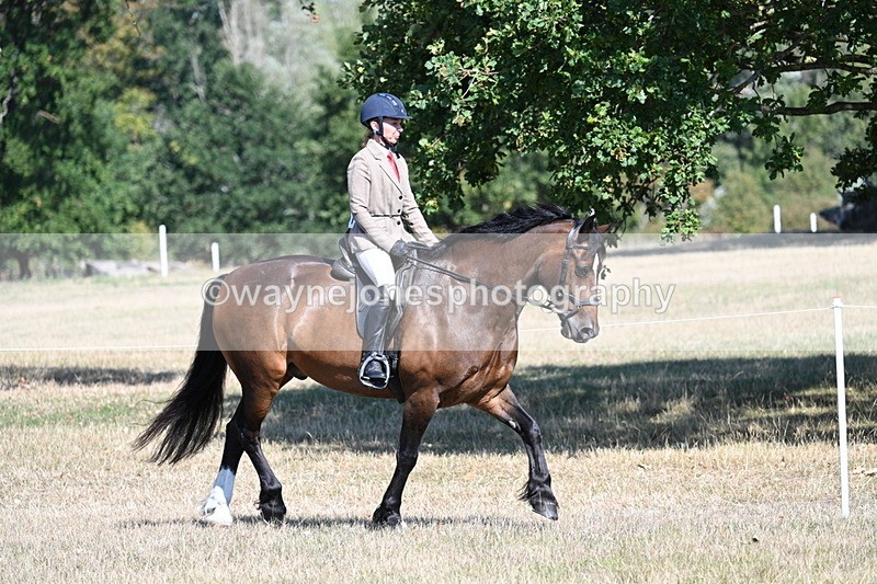WJ7_3883 - Class 9 Mountain & Moorland Ridden