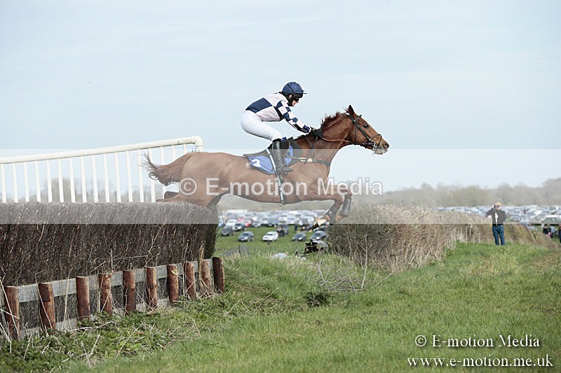 PtP 230319 361 - VWH Hunt Siddington Point-to-Point Racing 23/03/19