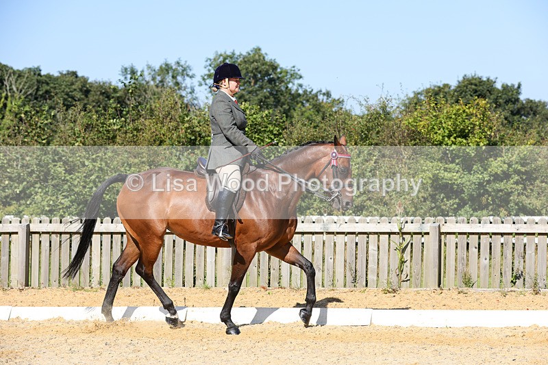 1X9A7871 - Class 10:Riding Horse