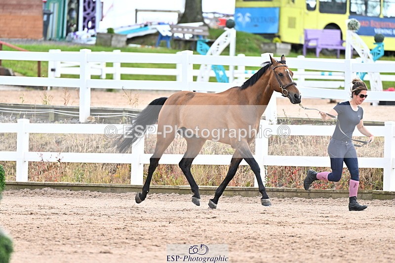 240718A-105325-01983 - Trot Up 2pm to 3pm - This folder is not in time order