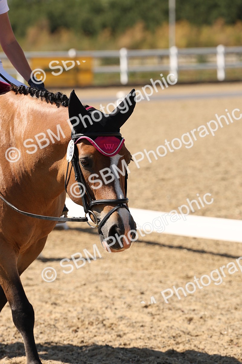 SBM_006317 - Prelim 4 - 15.56-17.51