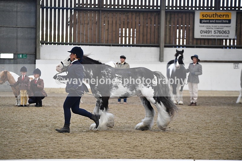 WJ5_4693 - Class 7 In hand coloured / odd coloured