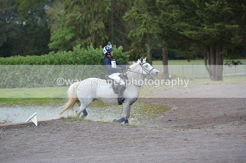 NGP_3374 - XC Time 11:59 to 12:15