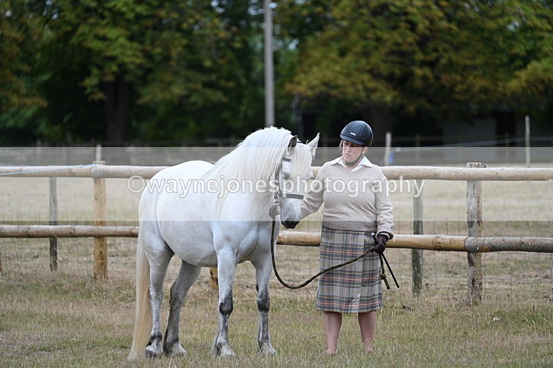 WJ7_8693 - Class 4a Prettiest Mare 14.2hh and over
