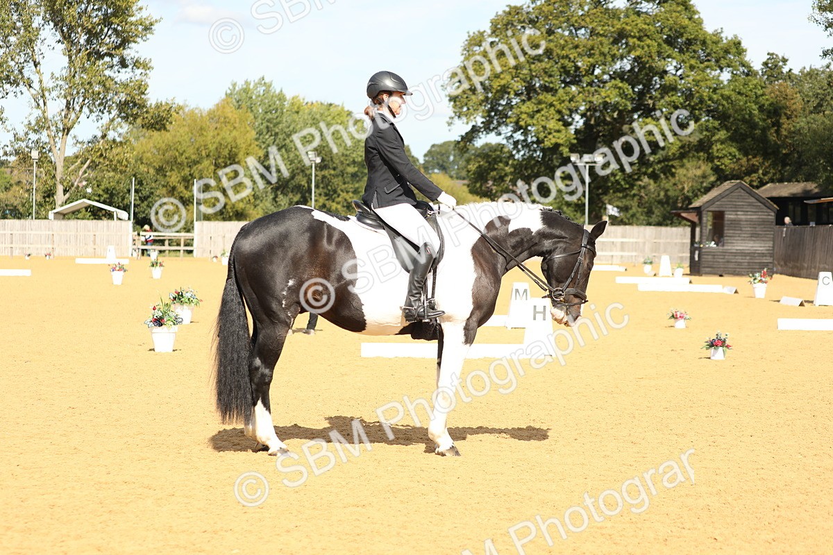 SBM_22186 - D17 - Grand Tour Championship - Novice 27