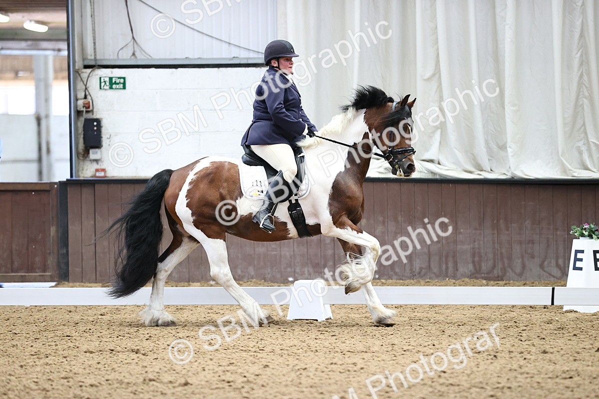 SBM_000486 - Novice 4 Warm Up
