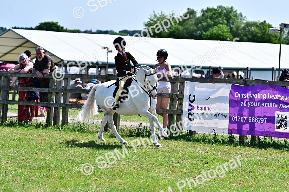 SBM_13982 - Class 95-97 - BSPS LHS Performance Ponies