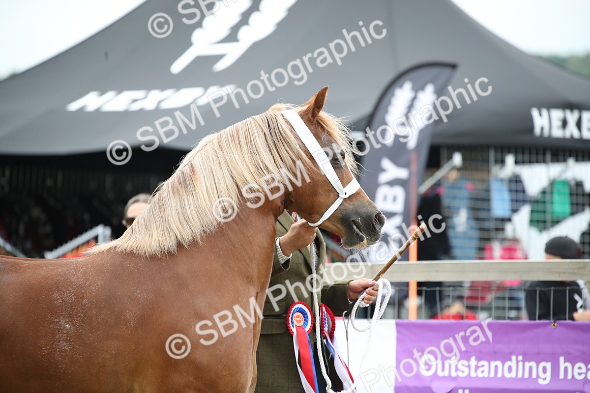 SBM_09719 - Ch 50 - Price Family Supreme In Hand