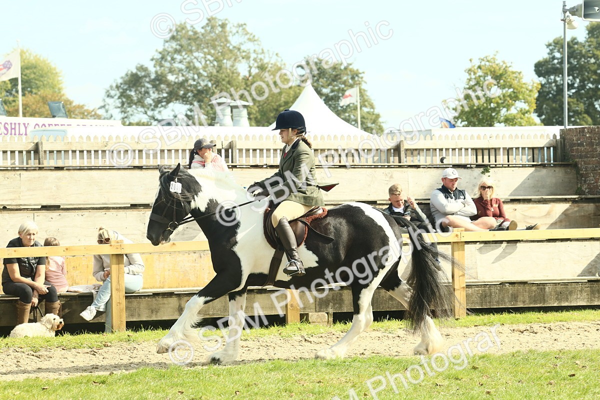 SBM_68816 - S58 - Mini Show Cob Ridden