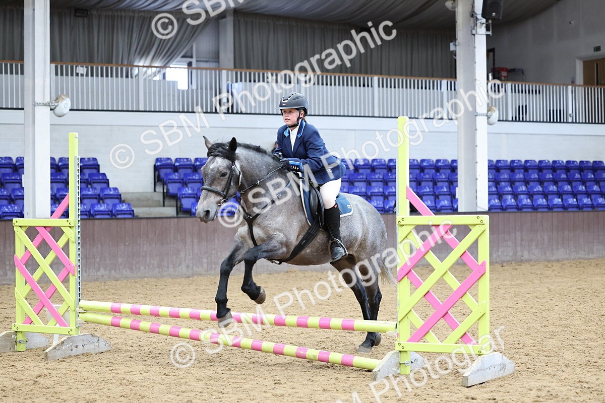 SBM_007324 - Class 2 - 50cm showjumping
