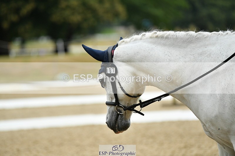 250718A-104651-00268 - 081-Isobel.Pengelly-Ltaras.Columbus