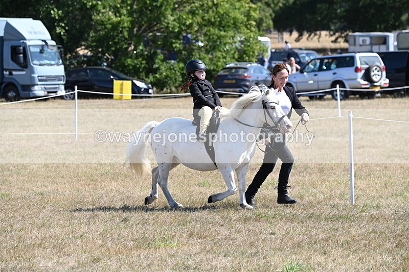WJ6_7837 - Class 36 Lead Rein