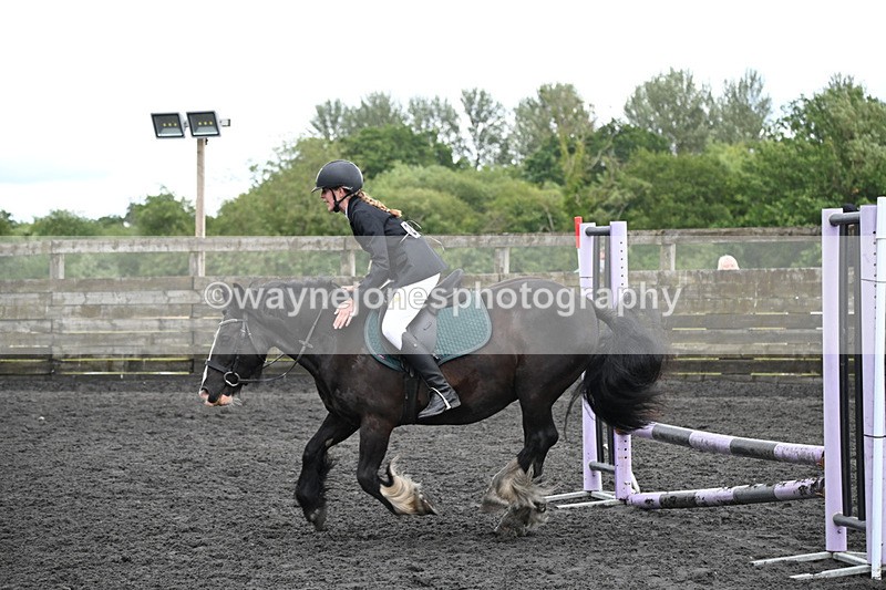 WJ6_0115 - Class 13 Novice 60cm