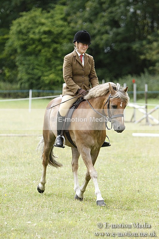 BVR160717-393 - Ring 3 BVRC Show 16/07/17