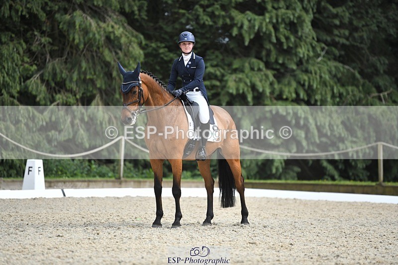 230525-154822-03316 - 329-VINTAGE_GRAFFITI-Alice_Hallows-WEDTrotUp+DR