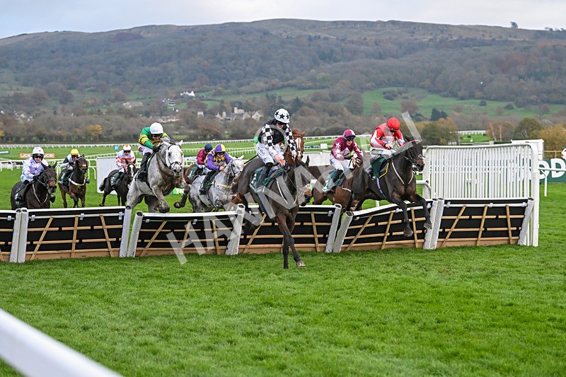 161124-Race 5-Noble Birth-0967 - Race 5