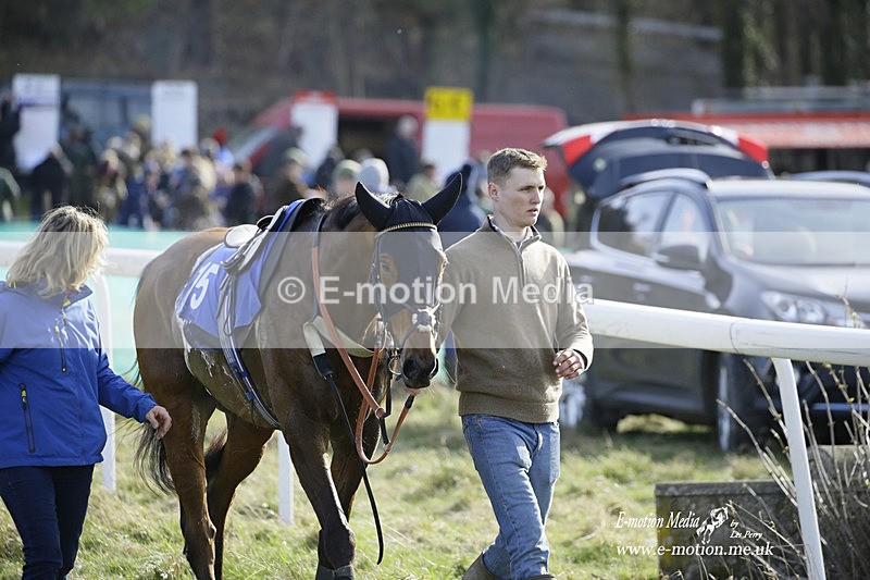 PtP 260222 521 - Kingston Blount Racing Club Point-to-Point 26/02/22
