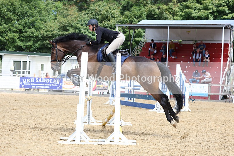 3E7A0200 - Class 9: Senior British Novice/90cm open