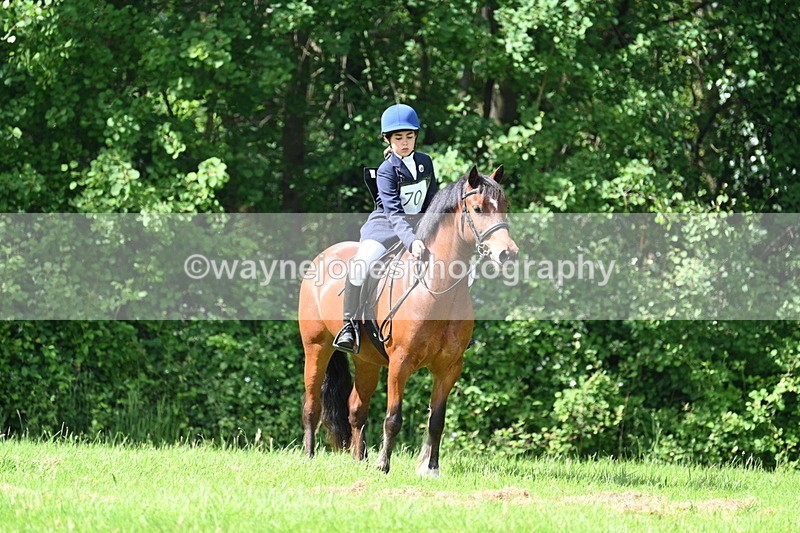 WJ7_1051 - Class 11 Condition & Turnout