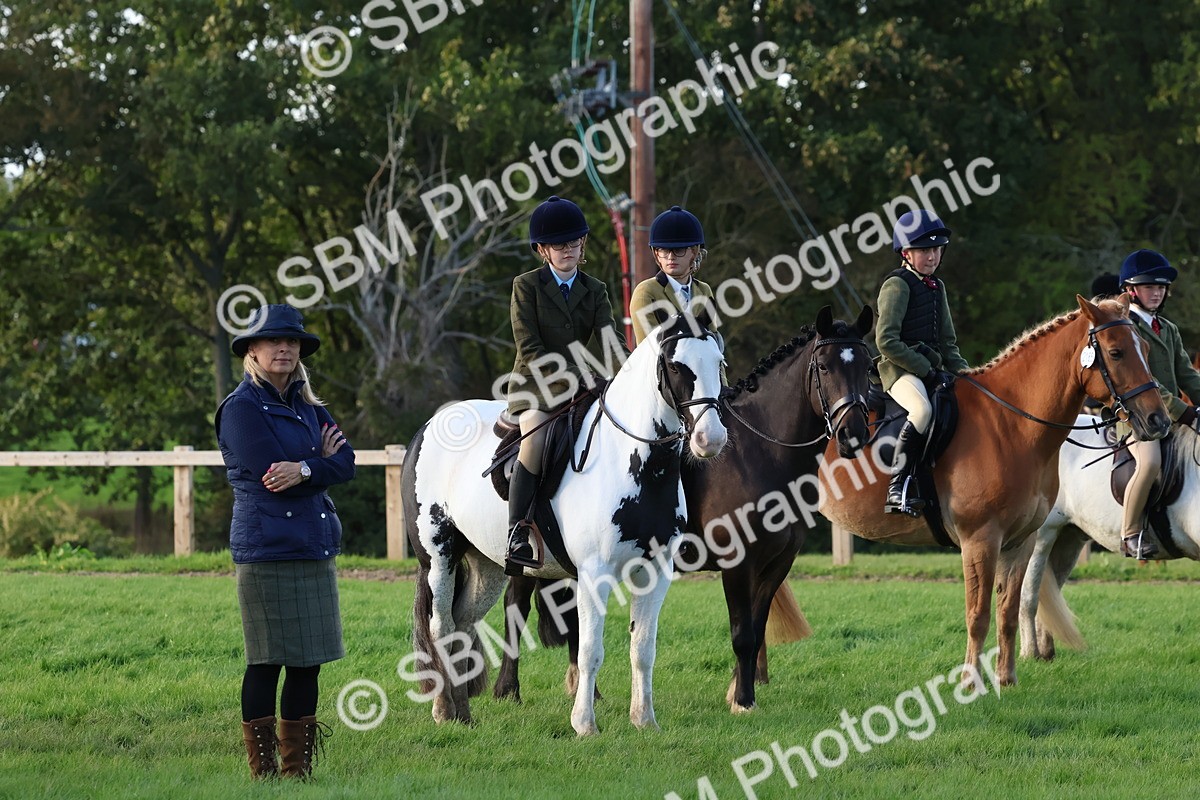 SBM_52557 - S13 - Pony Club Pony