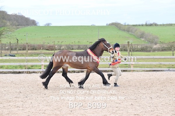 BPP_8099 - SUPREME CHAMPIONSHIP