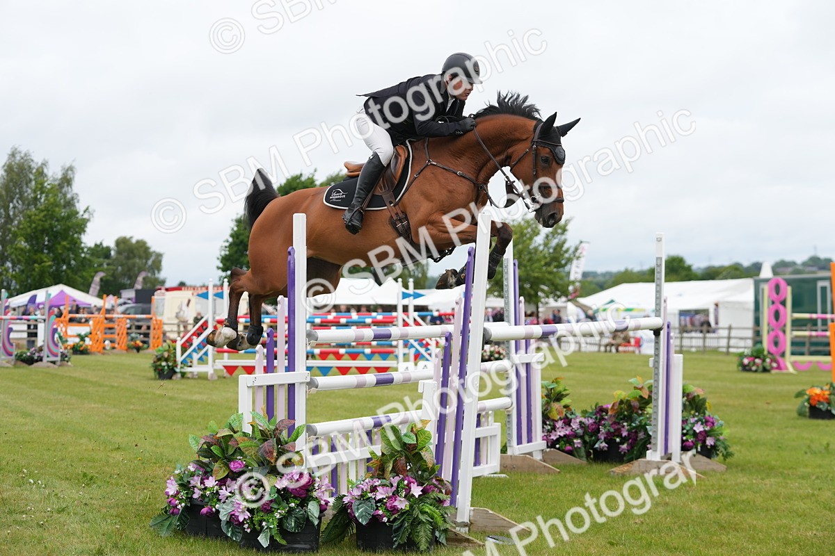 SBM_03102 - Class 201 - British Horse Feeds Speedi Beet Horse of the Year Show Grade  C