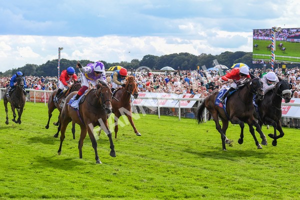 260823-Race 3-Kinross-0484 - Race 3 Sky Bet City Of York Stakes