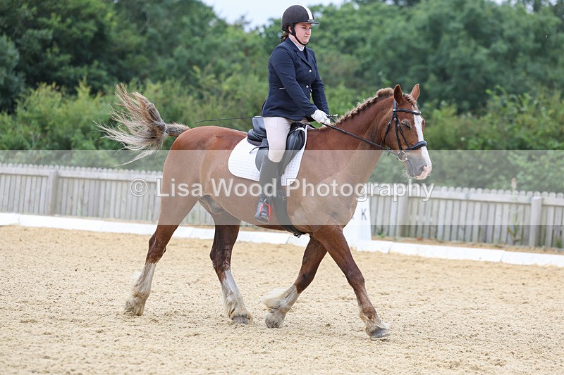 3E7A4735 - Class 1: Intro 4 2024 section A