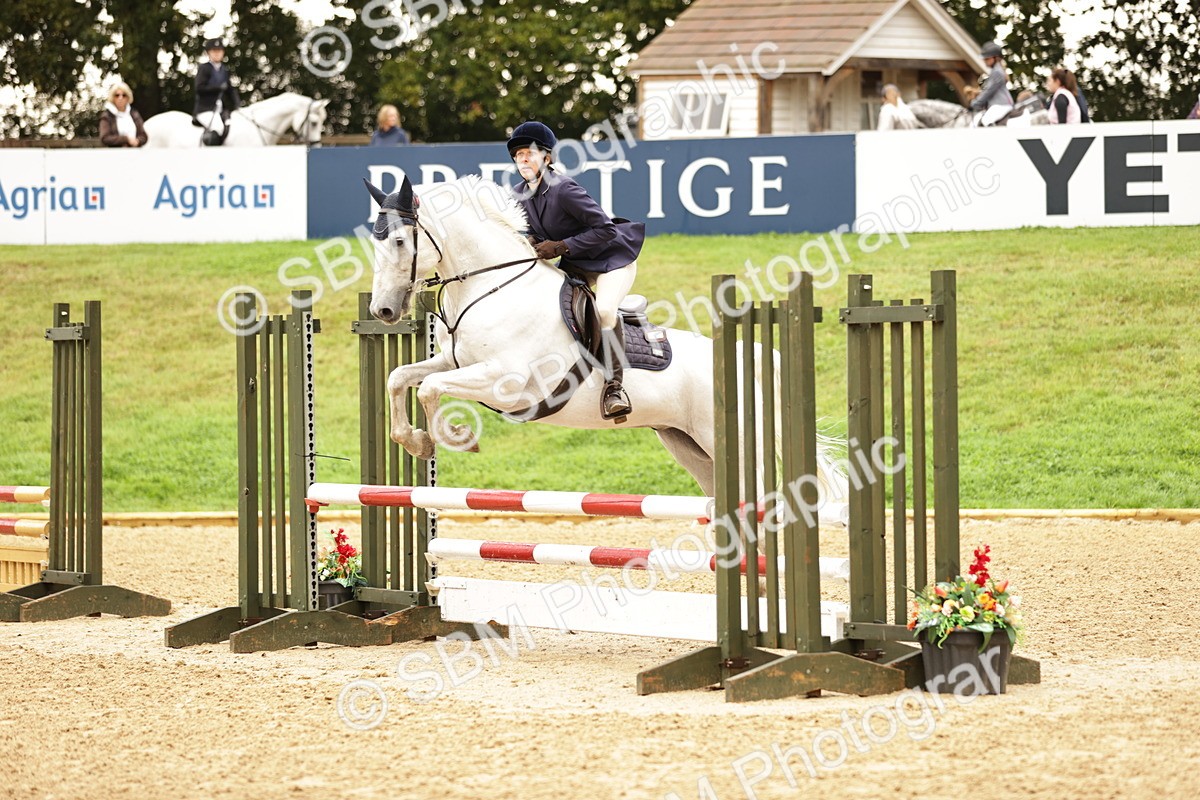 SBM_33052 - J38 - Senior Horse & Pony 80cm Championship