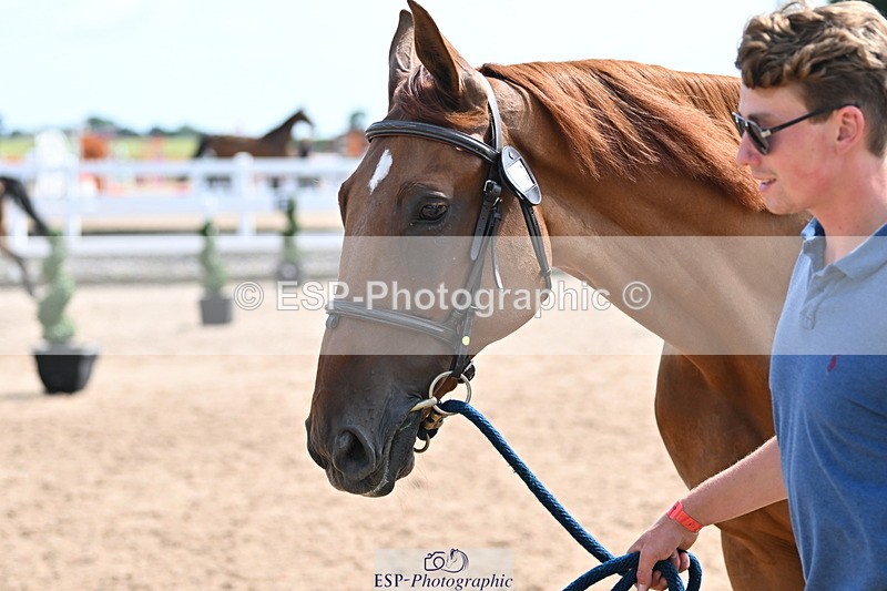 240717A-154218-02994 - Trot Up 3pm to 4pm