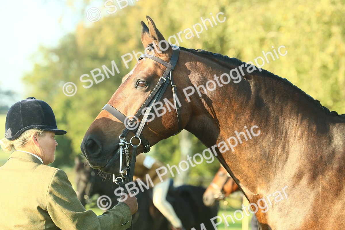 SBM_56688 - S36 - Starters Best Turnout