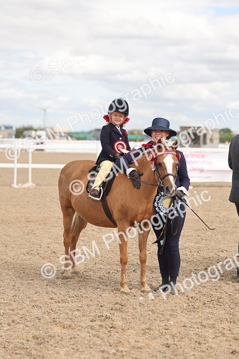 SBM_15830 - Class 309 - Lead Rein Pony