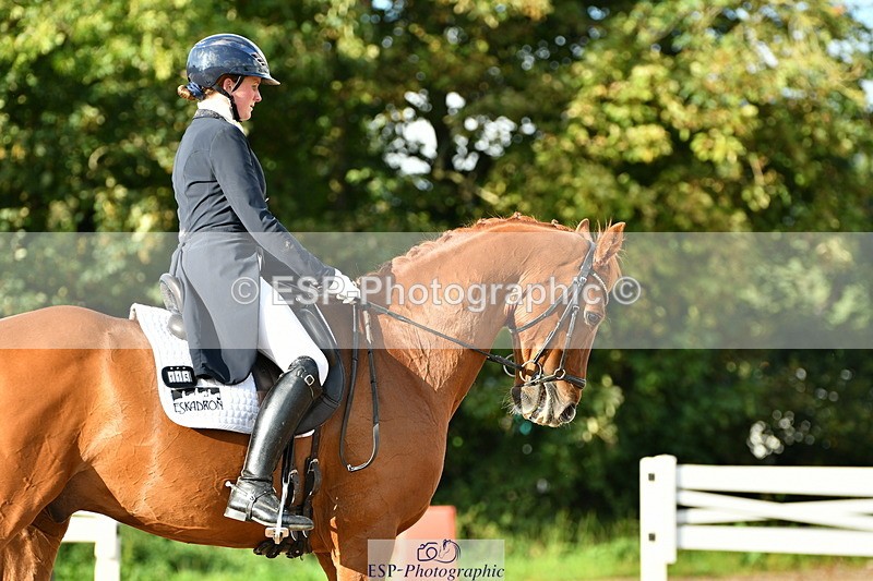 230912A-172304-01992 - Cls 23 FEI Grand Prix