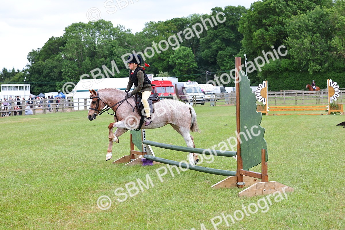 SBM_09409 - Class 44-45 - LIHS BSPS Open Nursery and Cradle Stakes