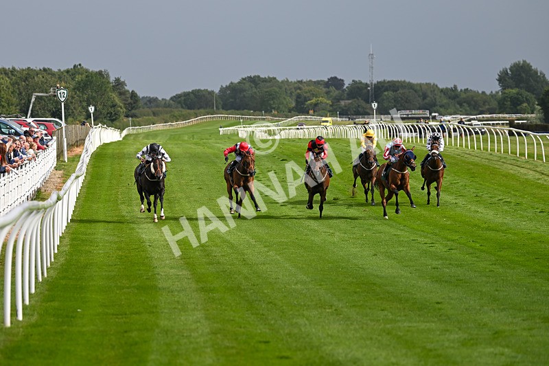 190824-Race 5-Birkenhead-3812 - Race 5