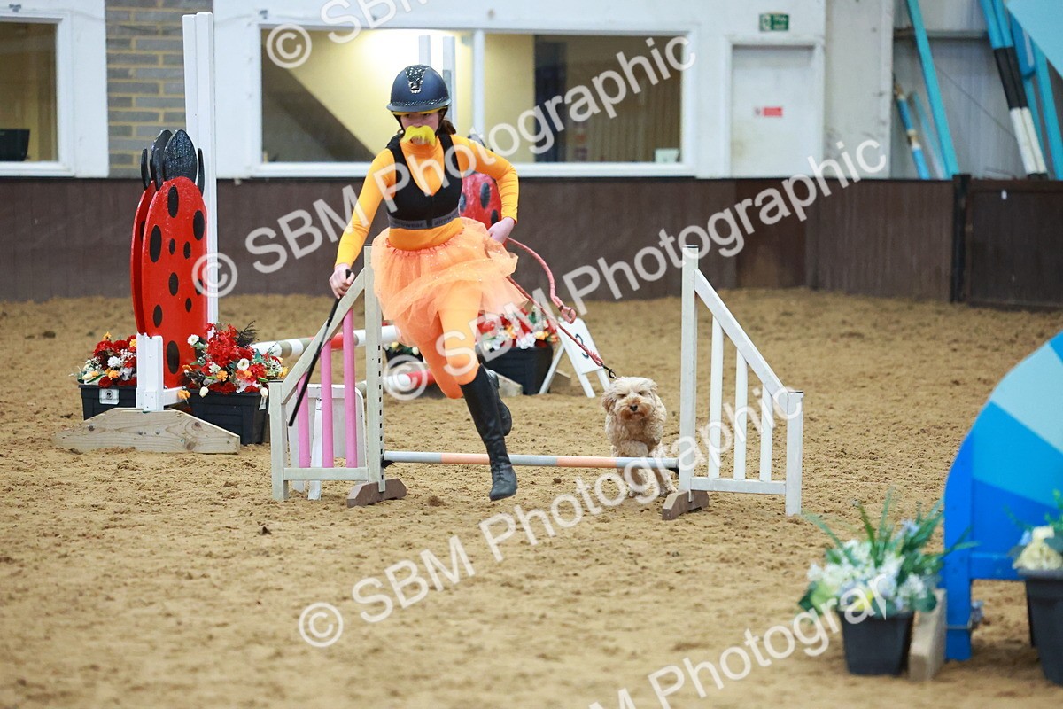 SBM_002343 - Class 3 - Horse & Hound (60cm)