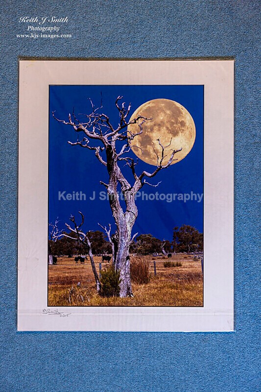 0SKJ9346 - Mounted prints for sale.