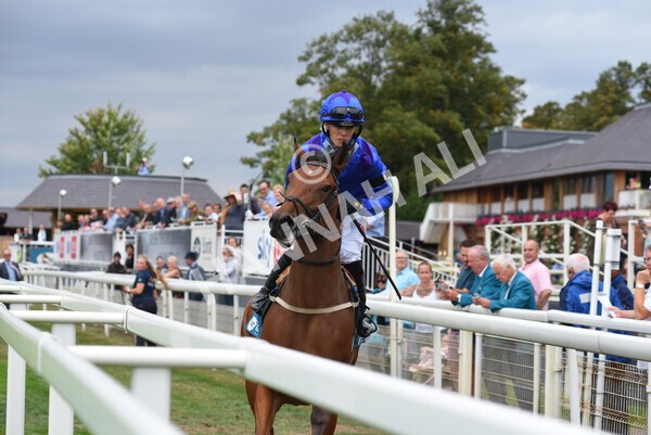 yr04092022r1-19 - Race 1 1.45pm IRE Incentive, It Pays To Buy Irish EBF Novice Stakes