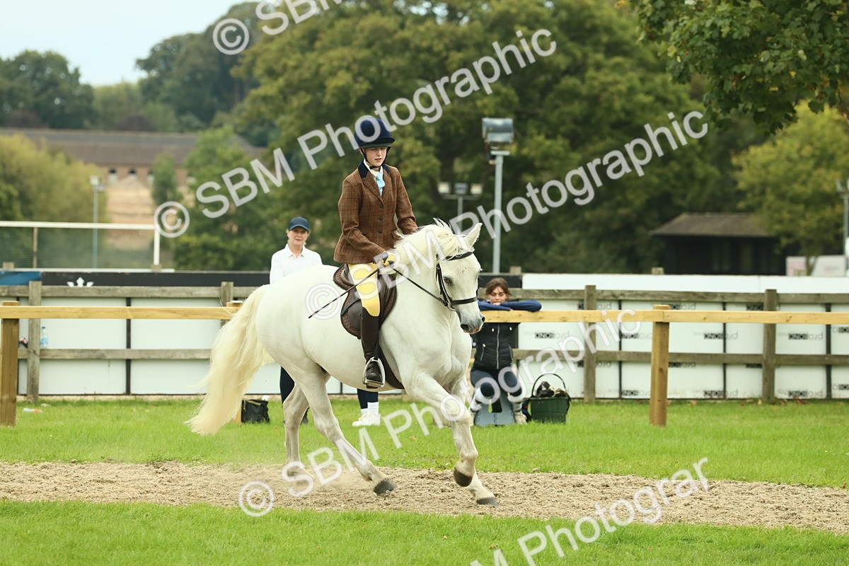 SBM_72172 - S60 - Mountain & Moorland Ridden Large Breeds
