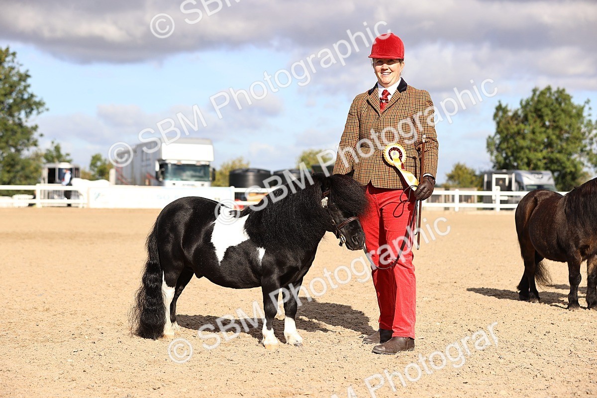 SBM_08545 - Class 402 - IH Veteran Pony