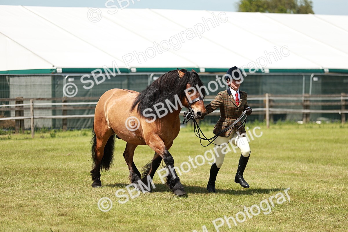 SBM_07157 - Class 26-30 - Mountain and Moorland Ridden