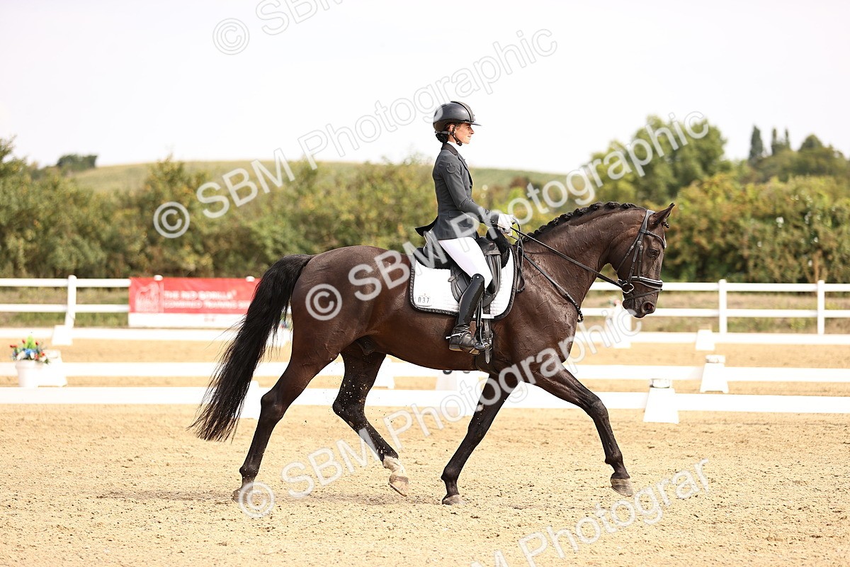 SBM_012904 - Class 2 - Advanced Medium 5 - 10.35-11.55