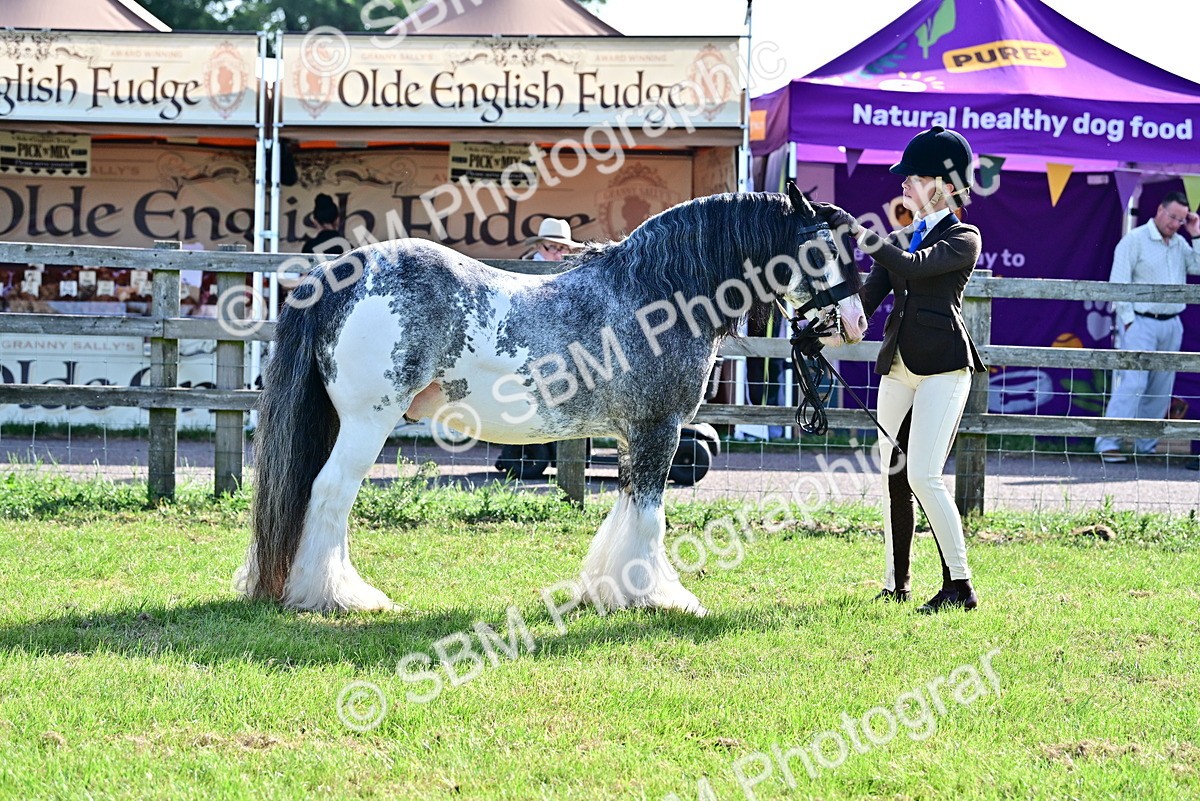 SBM_11540